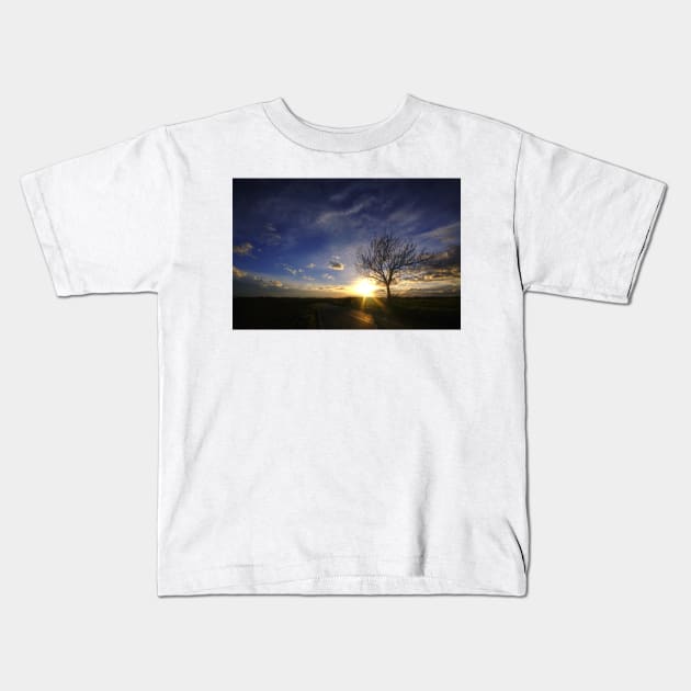 Sunset Tree Kids T-Shirt by Nigdaw